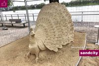 Sandcity mit KR Kirchhellener Reitsand